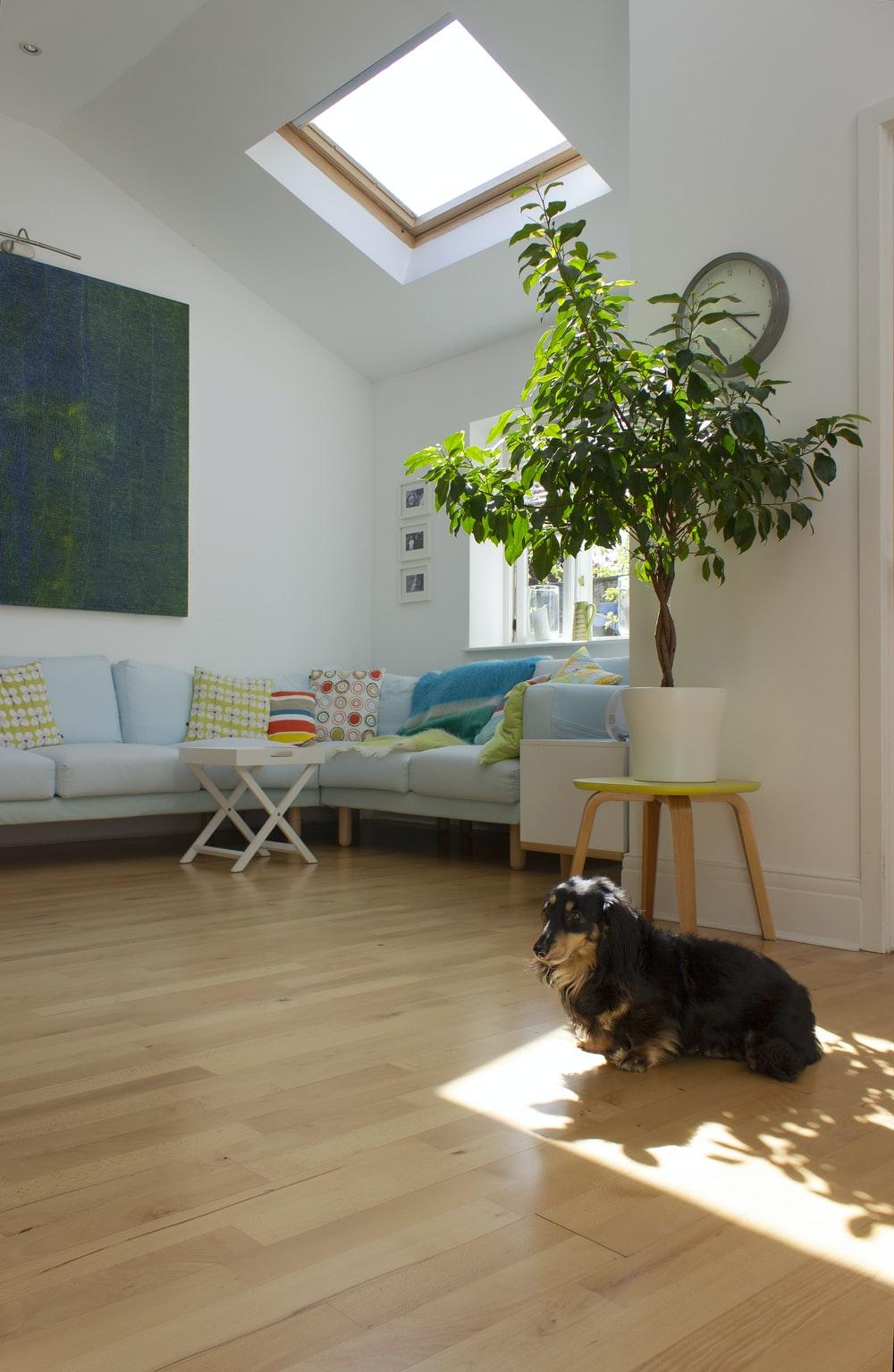 fenetre Fenêtres / Velux / Volets / Stores / Véranda