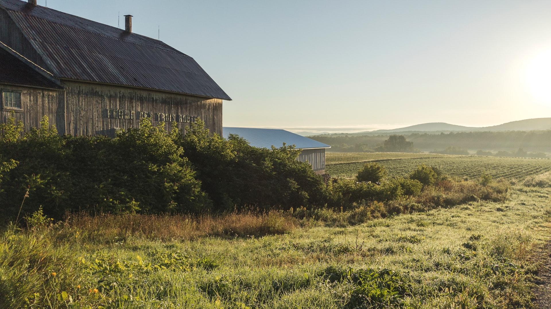 grange agricole-renovation-construction-artizy-suisse