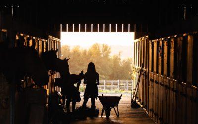 Comment procéder à la rénovation de votre ferme ?